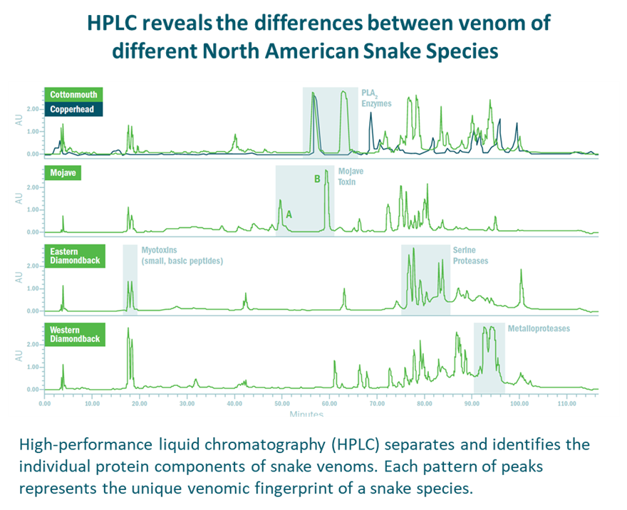 High-performance liquid chromatography (HPLC) separates and identifies the individual protein components of snake venoms. Each pattern of peaks represents the u nique venomic fingerprint of a snake species.